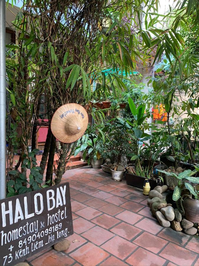 Halo Bay Homestay Ha Long Exterior photo